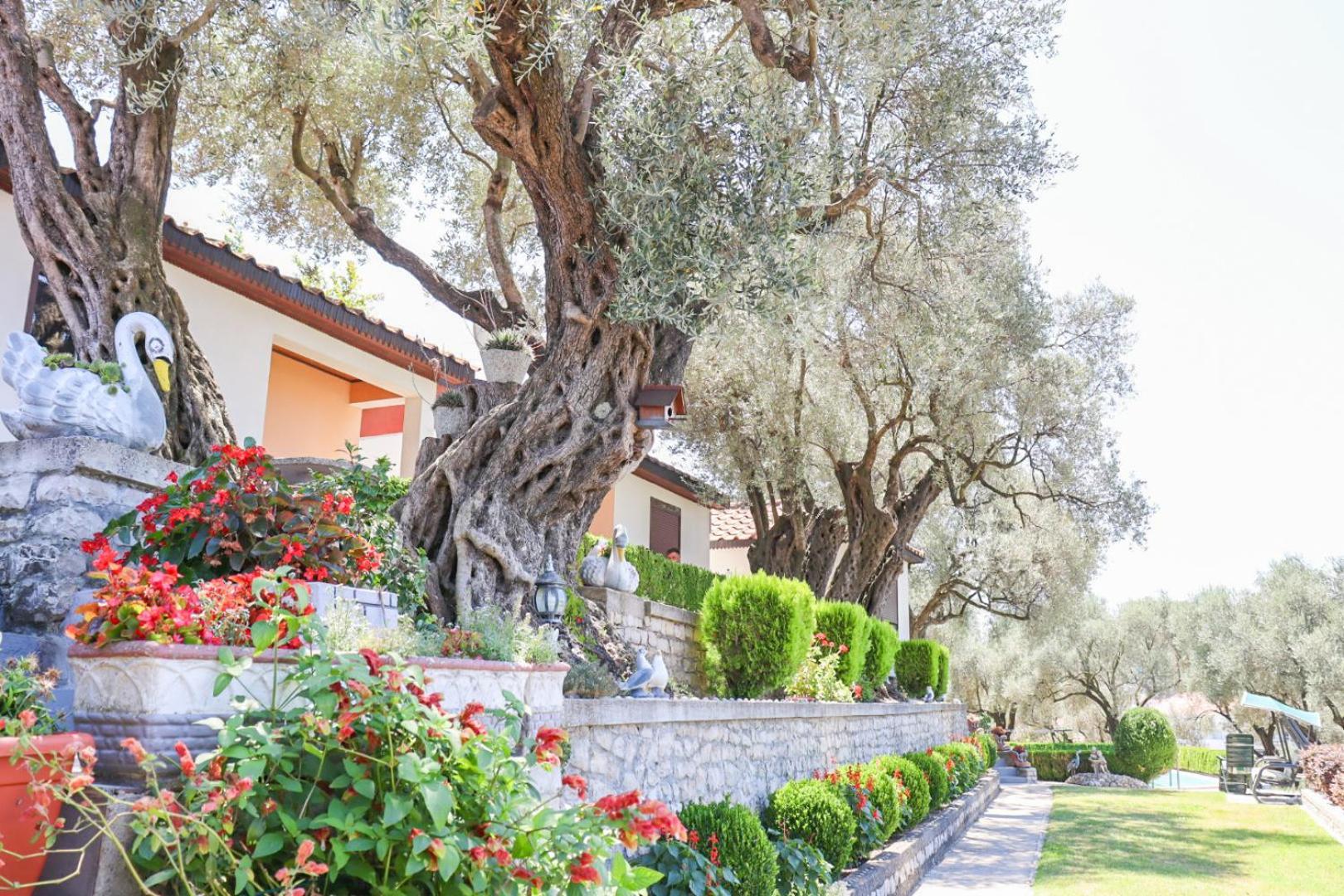 Hilja'S Oliven Garden Bungalows Ulcinj Exterior photo