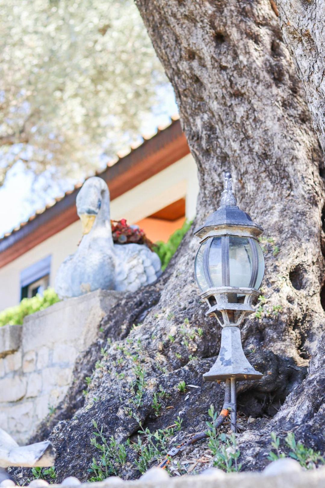 Hilja'S Oliven Garden Bungalows Ulcinj Exterior photo