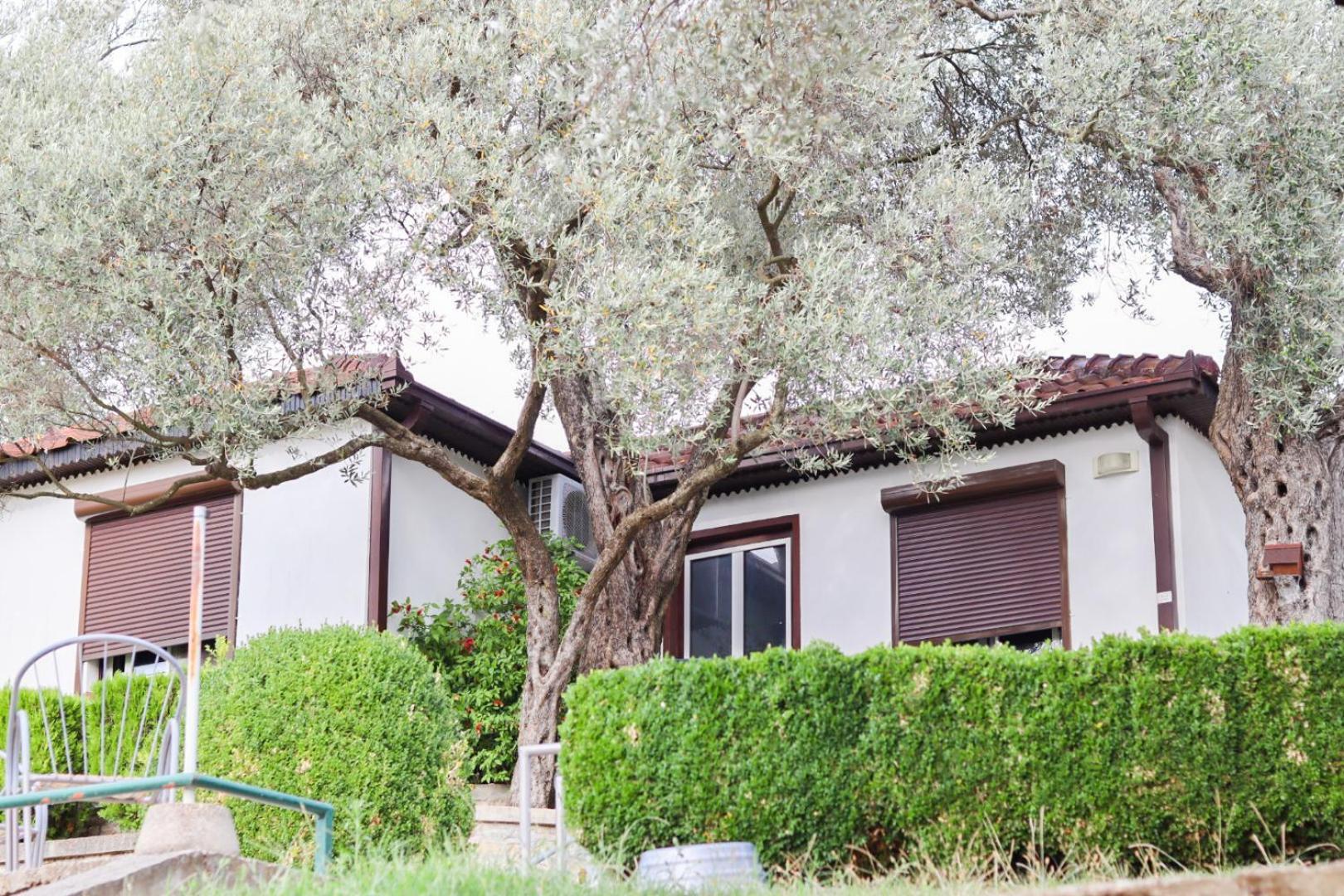 Hilja'S Oliven Garden Bungalows Ulcinj Exterior photo